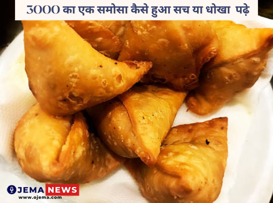 3000 का एक समोसा कैसे हुआ सच या धोखा  पढ़े